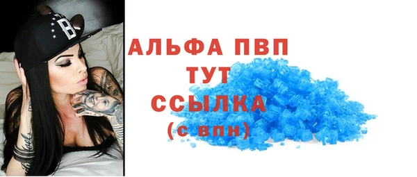 apvp Алексин