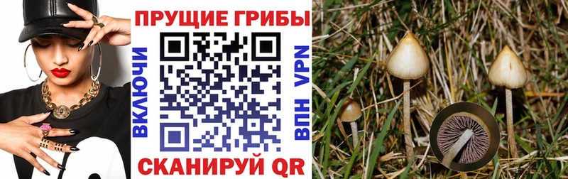 omg зеркало  Медынь  даркнет формула  Галлюциногенные грибы прущие грибы 